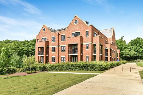 3 bedroom apartment to rent - Photo 1