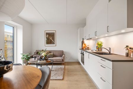 Falkely – nye moderne boliger i Ishøj - Photo 3