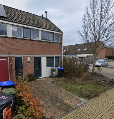 Kamelenspoor, 88 - Photo 1