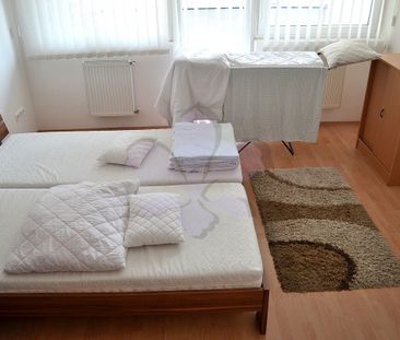 2 rooms flat rent in the centre - Fotó 4