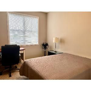 2 Bed 2 Bath Underground Parking Fully Furnished All Util. Included - Photo 5