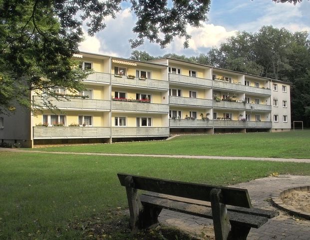Entspannt leben auf dem Rabenberg – 3 Zimmer, Balkon und mehr - Photo 1
