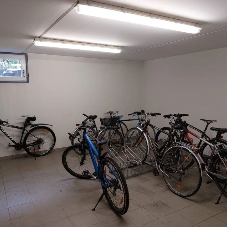 Ruhig gut aufgeteilte 2,5 Zimmerwohnung in Toplage nahe der Mur! - Foto 1