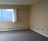 $1100 / 1br – 650ft2 – Spacious 1 Bedroom + Bathroom Apartment in u... - Photo 1