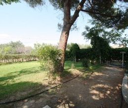 Μονοκατοικία για ενοικίαση - Αιγιάλεια, - Photo 6