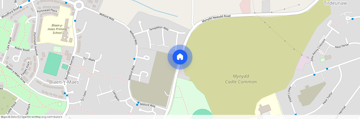 Mynydd Newydd Road, Swansea