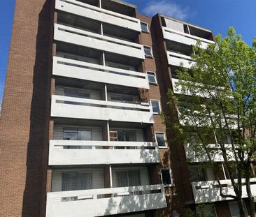 1 bedroom flat to let - Photo 6