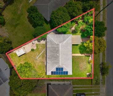 7 Glenlee Street, Arana Hills QLD 4054 - House For Rent | Domain - Photo 5