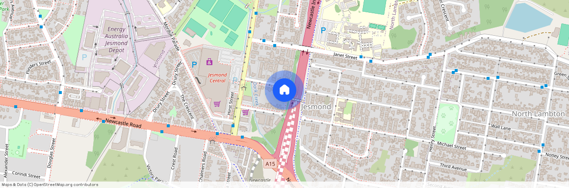 51 William Street, NSW 2299, Jesmond