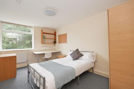 Student Apartment 3 bedroom, Ecclesall Road, Sheffield - Photo 4