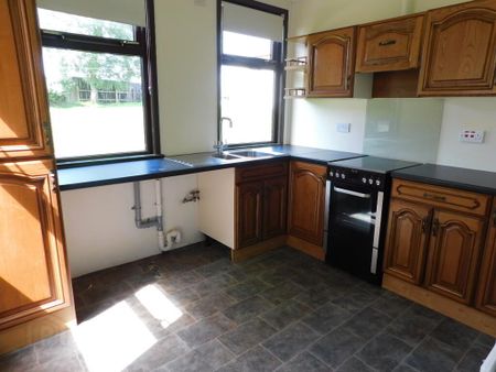 22 Watson Park, Omagh, BT78 5ND - Photo 4