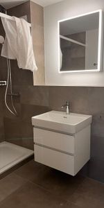 First rental in the heart of Lyss - Photo 3