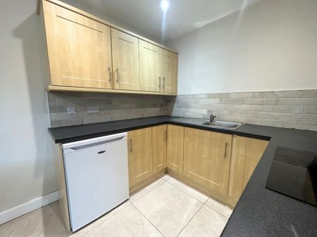 203 College Court Central, Belfast BT1 6BF - Photo 3