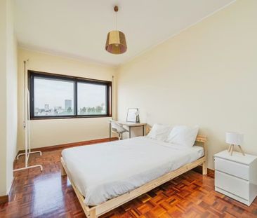 Rua do Campo Alegre, Porto, Braga 4150-177 - Photo 4