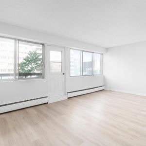 Sunny And Renovated 3 1/2 - Saint Laurent - 335 Boulevard Deguire, Saint-Laurent - Photo 3