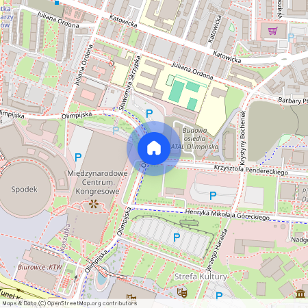 ul. Olimpijska, Bogucice, Katowice, śląskie