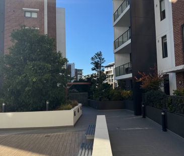 Botany - Photo 4
