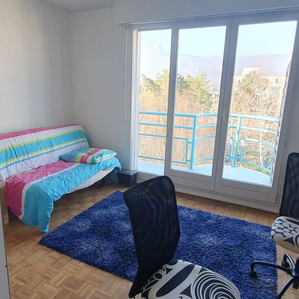Location Appartement 1 pièce 23m² GRENOBLE 38100 - Photo 1
