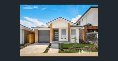 Brand New 4 Bedroom Home - Available Now! - Photo 2