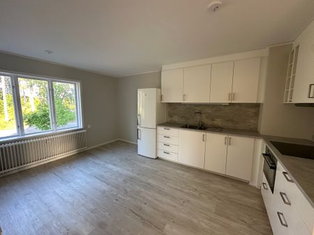 Ljusviksvägen, Kvissleby - Photo 4