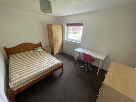 3 bedroom house share to rent - Photo 5