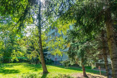 Dein Lieblingsplatz im Chemnitzer Zentrum - Foto 2