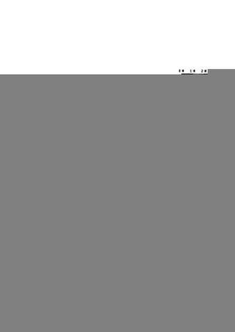 4.5 Zimmer, 105 m², 4. Stock - Photo 5