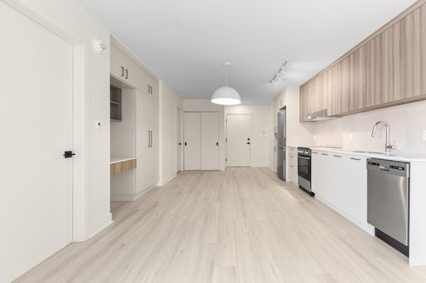 2525 Rue Rachel E., app.103, H2H 1S2, H2H 1S2, Montréal - Photo 1