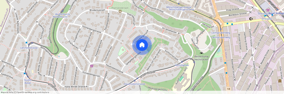 Spiegelbergstrasse 33, 4059, Basel