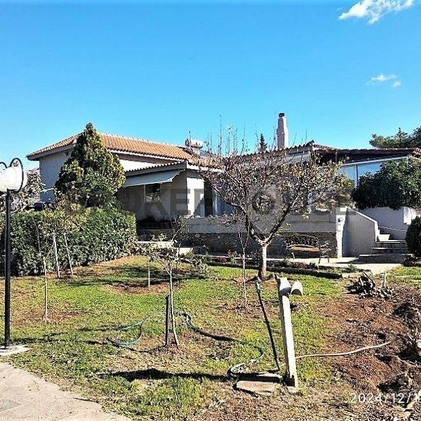 Βίλα για ενοικίαση Λαγονήσι (Καλύβια Θορικού) - Photo 1