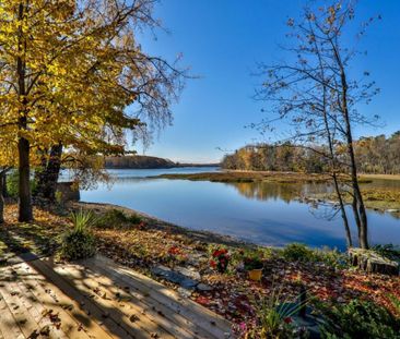 Maison à étages à louer - Saint-Eustache (Est) - Photo 2