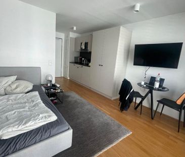 Stilvolles 1-Zimmer-Microapartmmit gehobener Innenausstattung - Foto 1