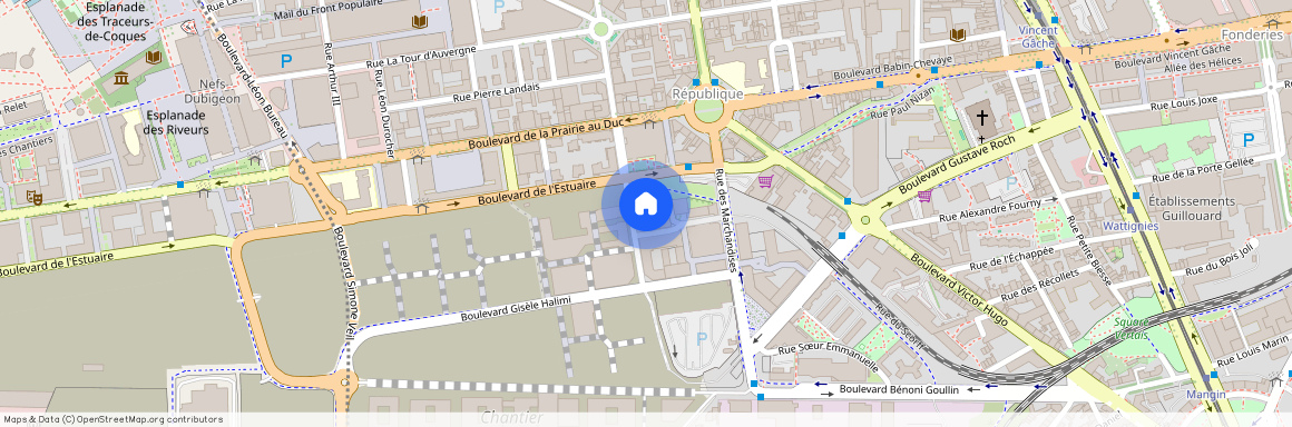 41, rue Alain Barbe Torte 44200 Nantes FRANCE