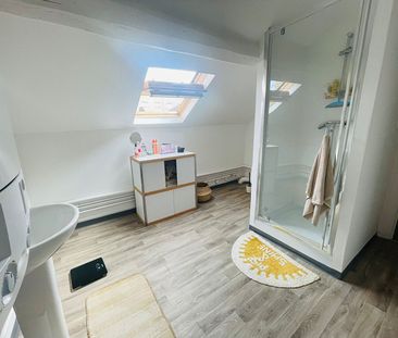Location Appartement 2 pièces 49m² CHARLEVILLE MEZIERES 08000 - Photo 6