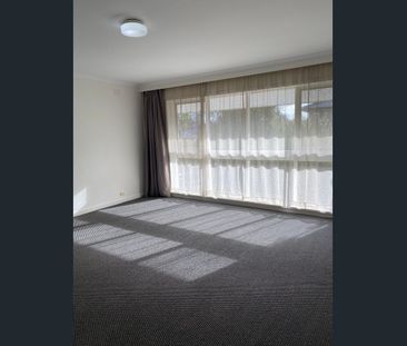 Massive space is sure to surprise, a truely rare find! - Photo 2