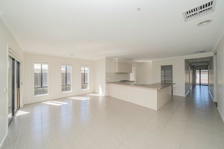 Spacious Family Home - walk to Hillcrest College - Photo 2