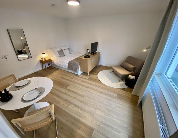 Möblierte Wohnung 1-Zimmer / sehr gute Anbindung - Foto 1