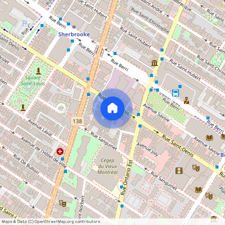 2060 Rue St-Denis #301, Ville-Marie (Montréal), H2X3K8