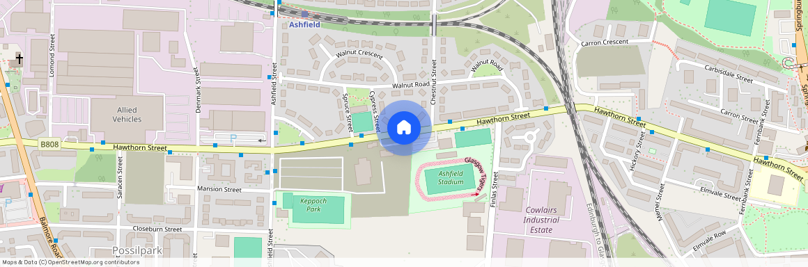 Hawthorn Street, Glasgow, G22