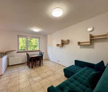 Akceptowane zwierzęta | Balkon - Photo 4