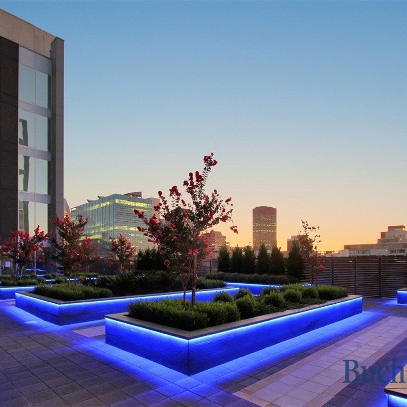 79/223 North Terrace, Adelaide SA 5000 - Apartment For Rent | Domain - Photo 1