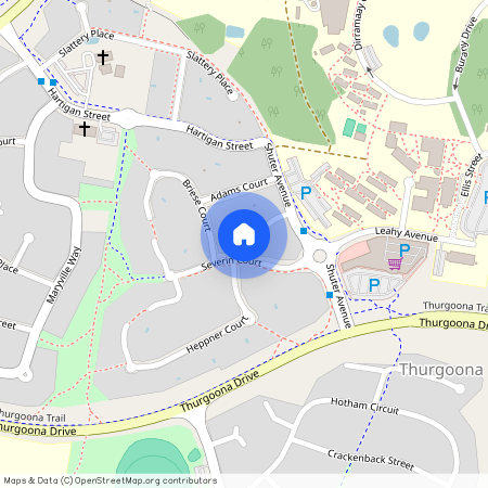 19 Stringybark Court, NSW 2640, Thurgoona