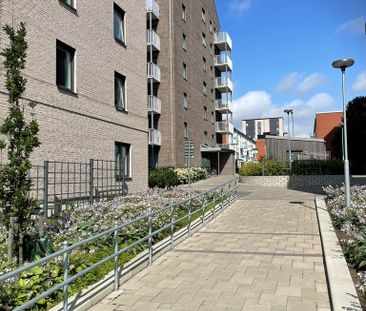 Vasatorpsvägen 19 - Foto 2