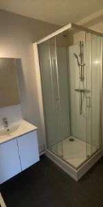 Location Appartement 1 pièce 22m² LILLE 59000 - Photo 4