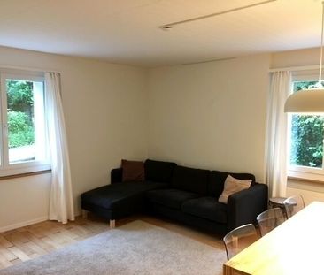 APPARTEMENT DE 3 PIÈCES À LUCERNE, MEUBLÉ, TEMPORAIRE - Photo 6