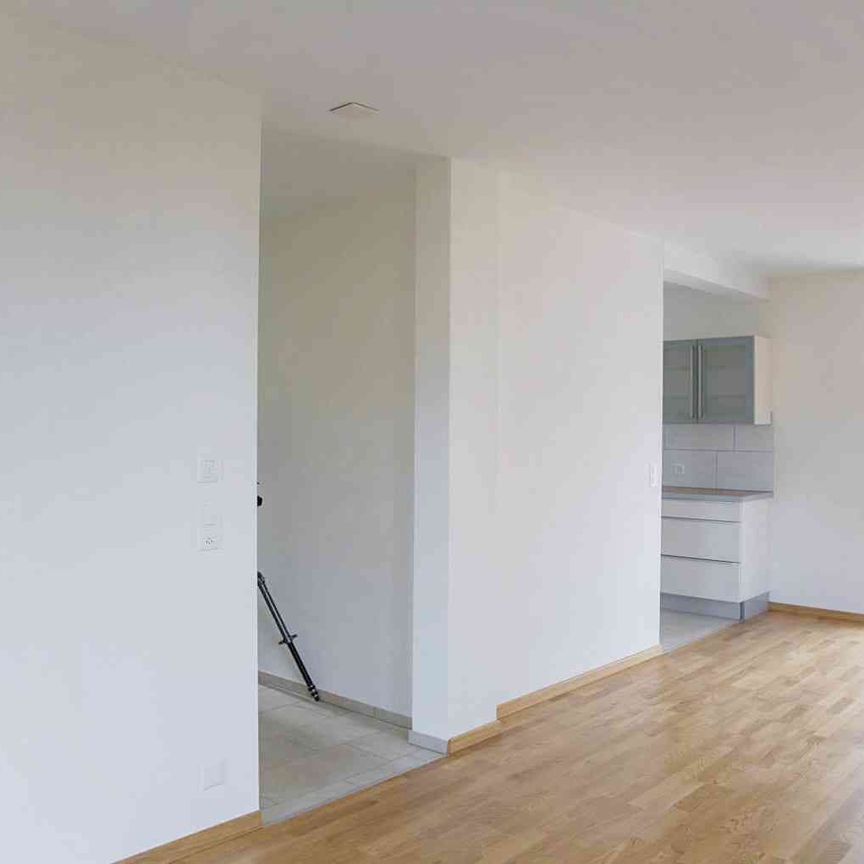 3.5 Zimmer, 80 m², EG - Foto 1