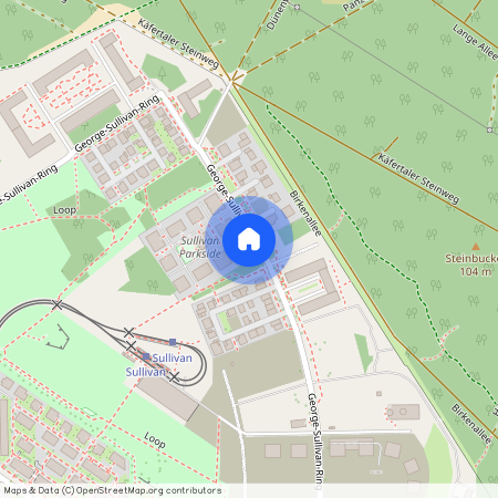 George-Sullivan-Ring 44, 68309, Mannheim