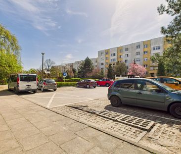 *Panoramiczne okno z tarasem - widok na las* - Photo 5
