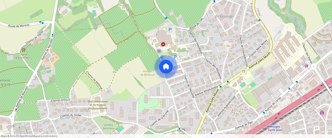 Chemin du Rossignol 1, 1110 - Morges, Suisse