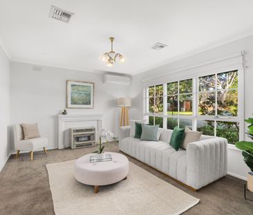 1/29 Barkly Street, Box Hill VIC 3128 - Apartment For Rent | Domain - Photo 1